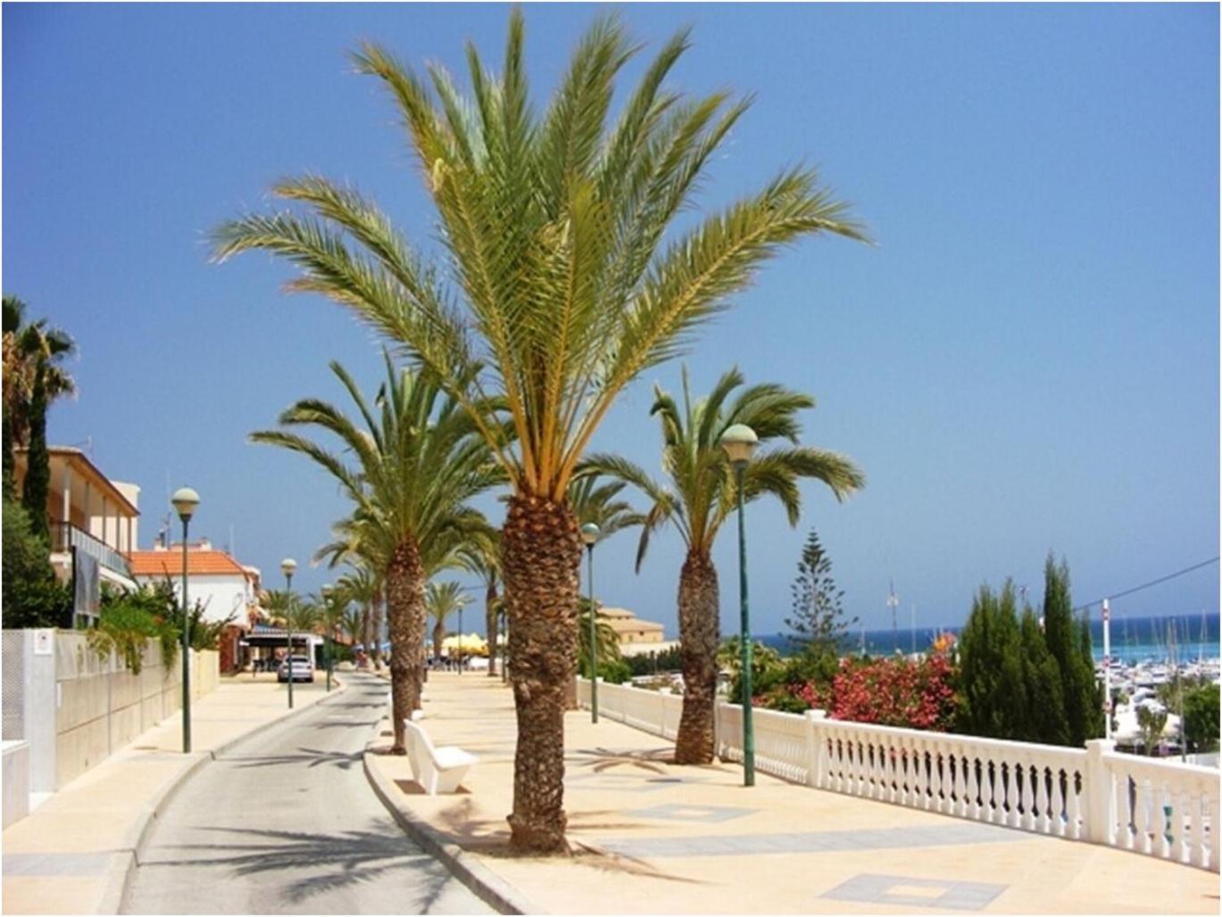 Torre De La Horadada - Modern And Comfortable 2 Bedroom Apartment Close To The Beach Torre de la Horadada Εξωτερικό φωτογραφία